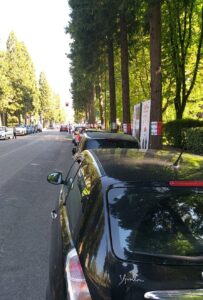 Carpi viale Cipressi, manifesti 25 Aprile strappati