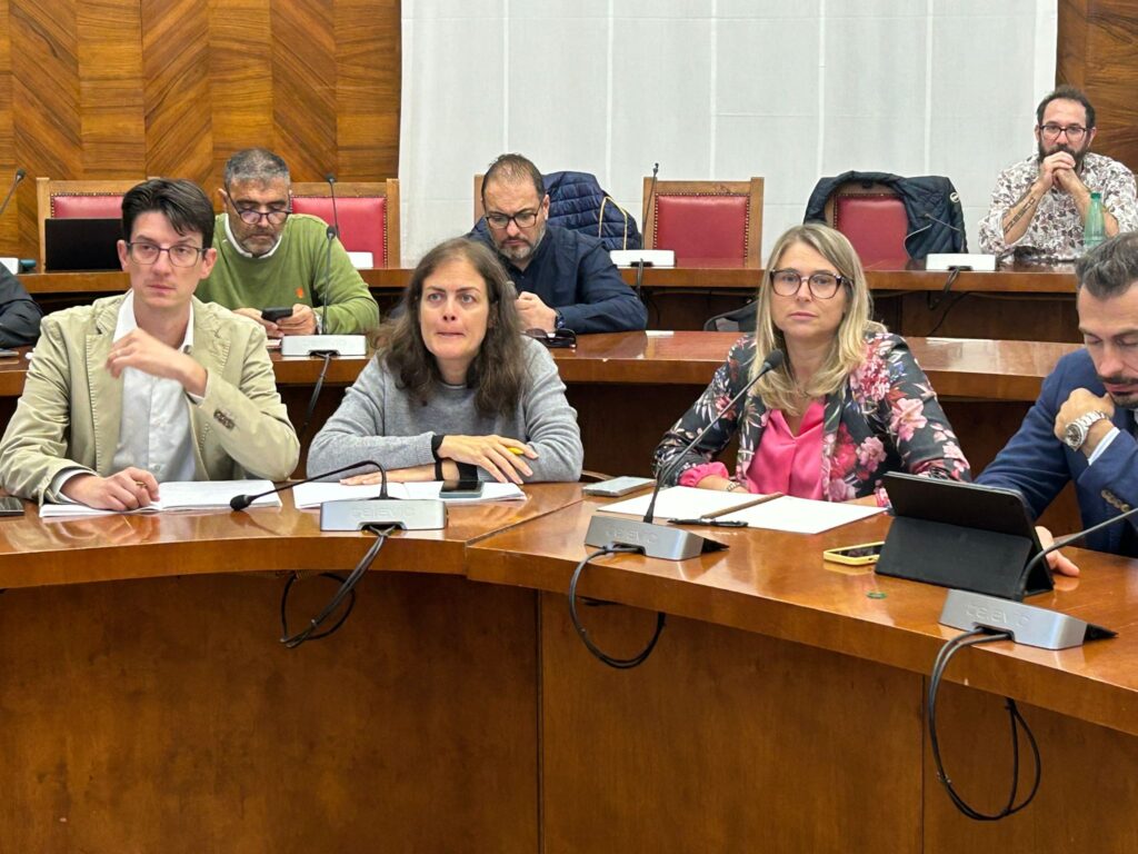 Vertenza Mozarc ex Bellco (Mirandola) al Mimit (17 settembre 2024)