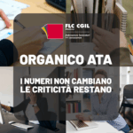 Organico ATA: i numeri non cambiano, ma le criticità restano - 14/5/2025