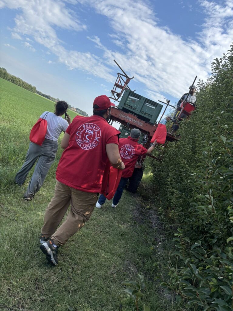 Flai Cgil Modena - Brigate del lavoro - 1/8/2025