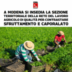 Rete lavoro agricolo di qualità: contrastare sfruttamento e caporalato