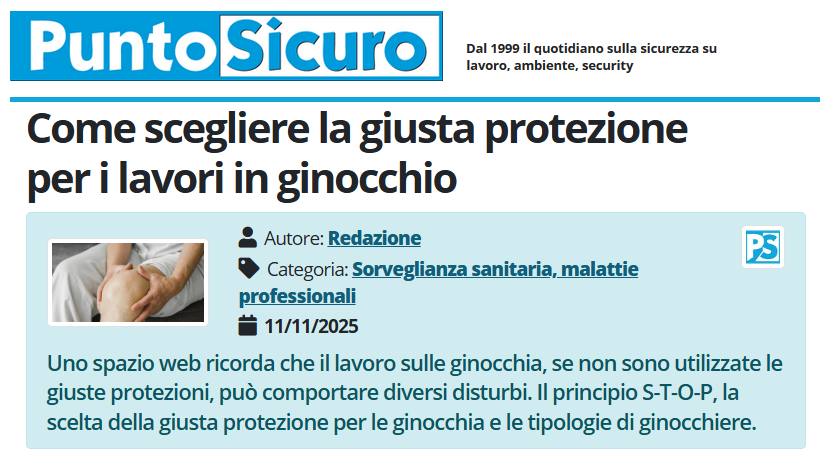 Scritta Originale 'Schwalbe' In Alluminio Per Protezione Ginocchio – Dritta, Lucida, Con Perni Di Fissaggio – Ricambio Per Simson KR51