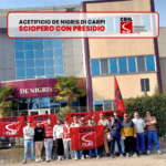 De Nigris Carpi sciopero 27.2.26